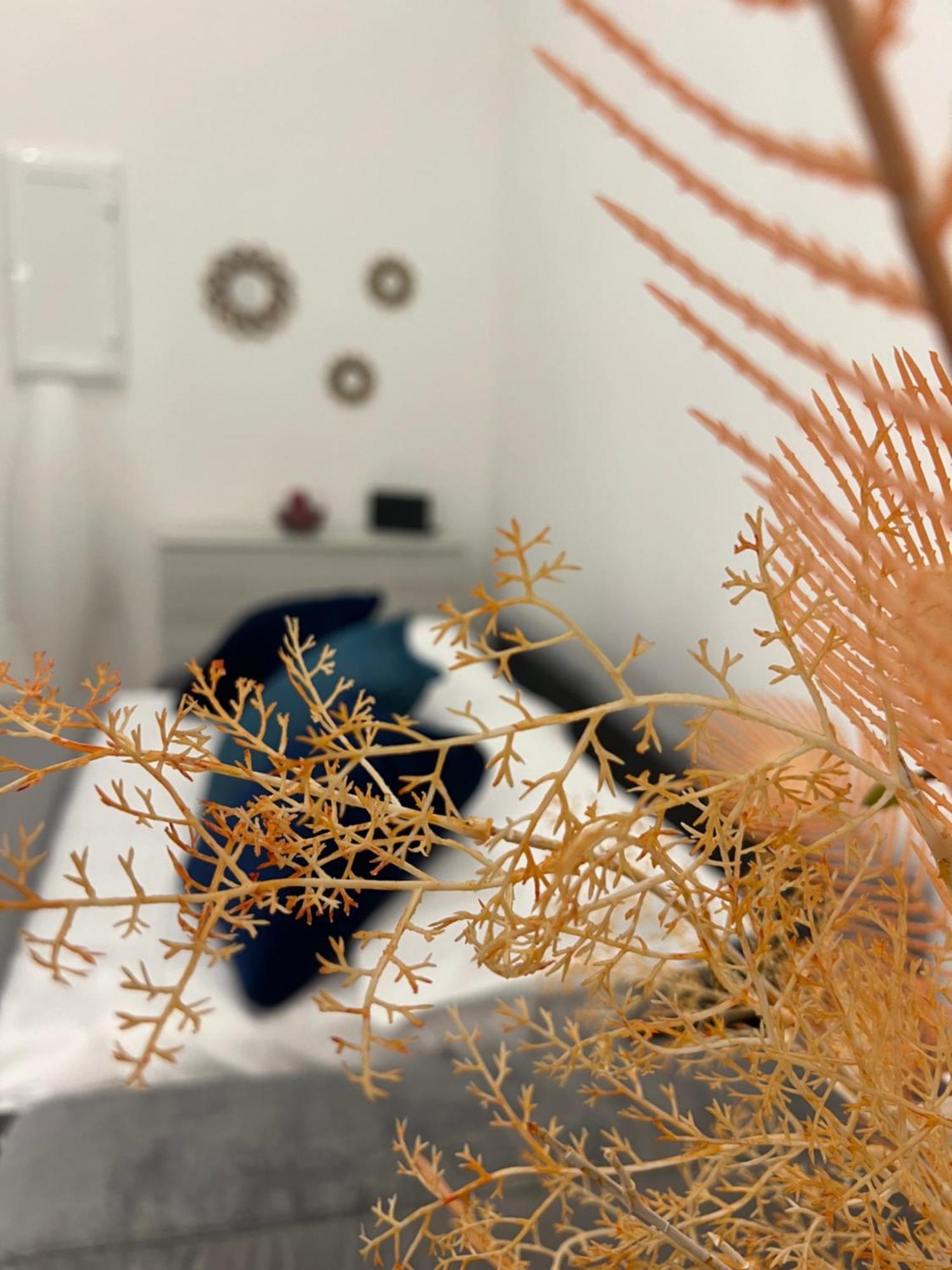 Apartamento Che Casa *